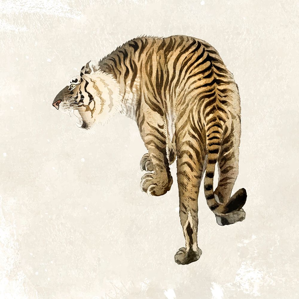 Roaring tiger sticker, animal realistic illustration vector, remixed from artworks by Ohara Koson