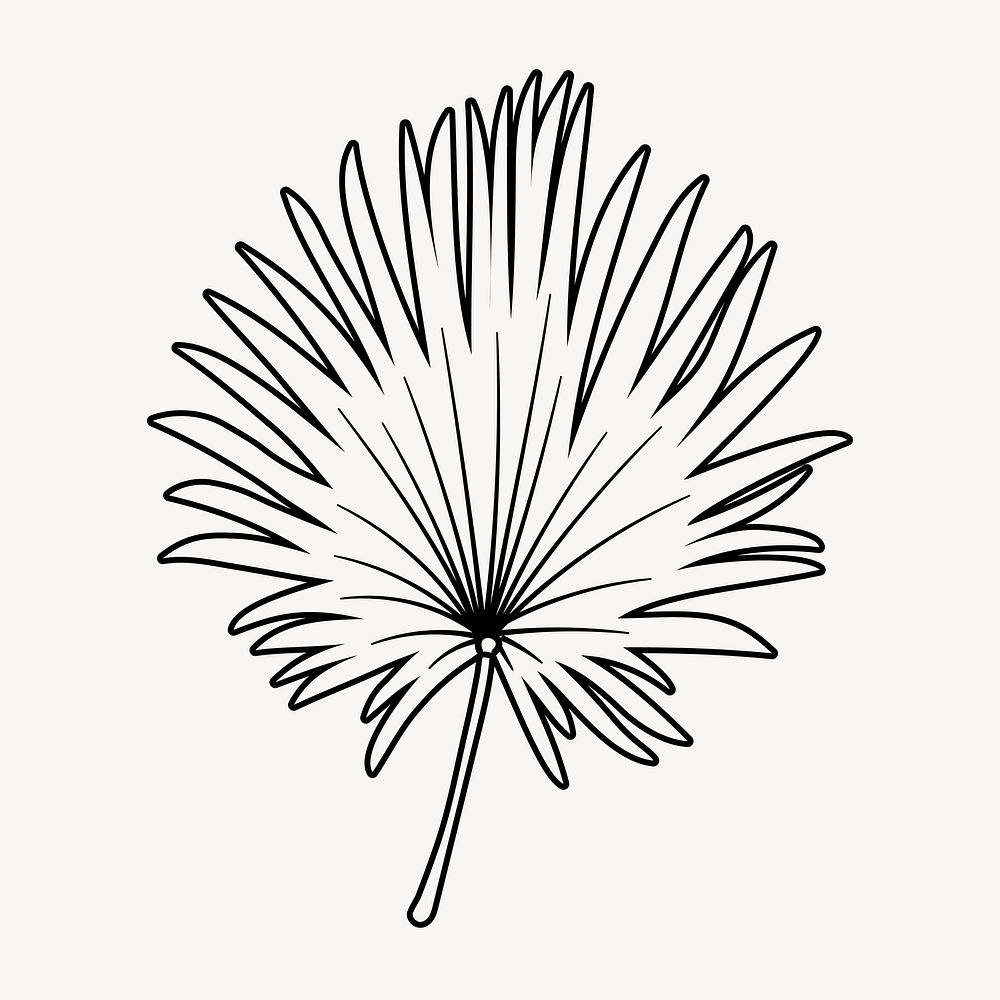 Fan palm leaf doodle clipart, cute black & white illustration