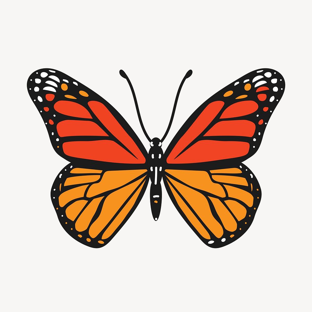 Monarch butterfly, cute cartoon illustration