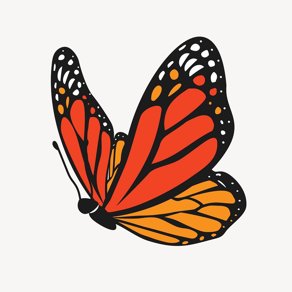 Monarch butterfly, cute cartoon illustration