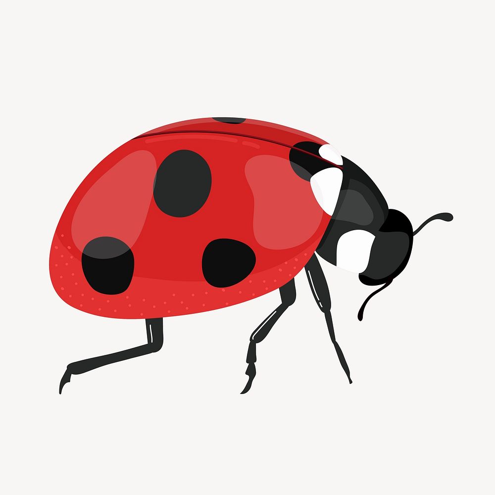 Ladybug clipart, cute cartoon illustration psd