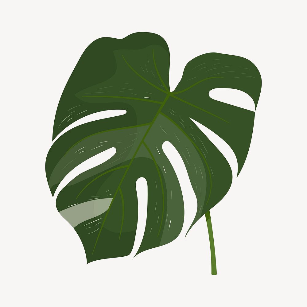 Monstera leaf clipart, cute cartoon illustration psd