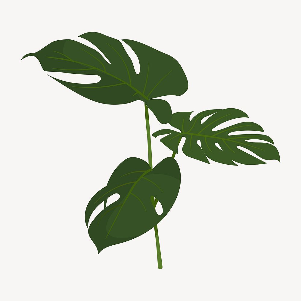 Monstera leaf collage element, cute cartoon illustration vector