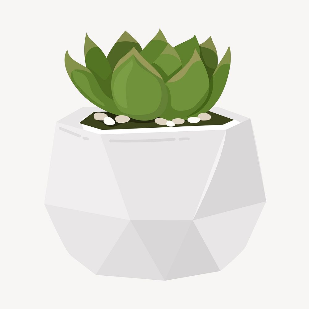 Succulent plant, cute cartoon illustration