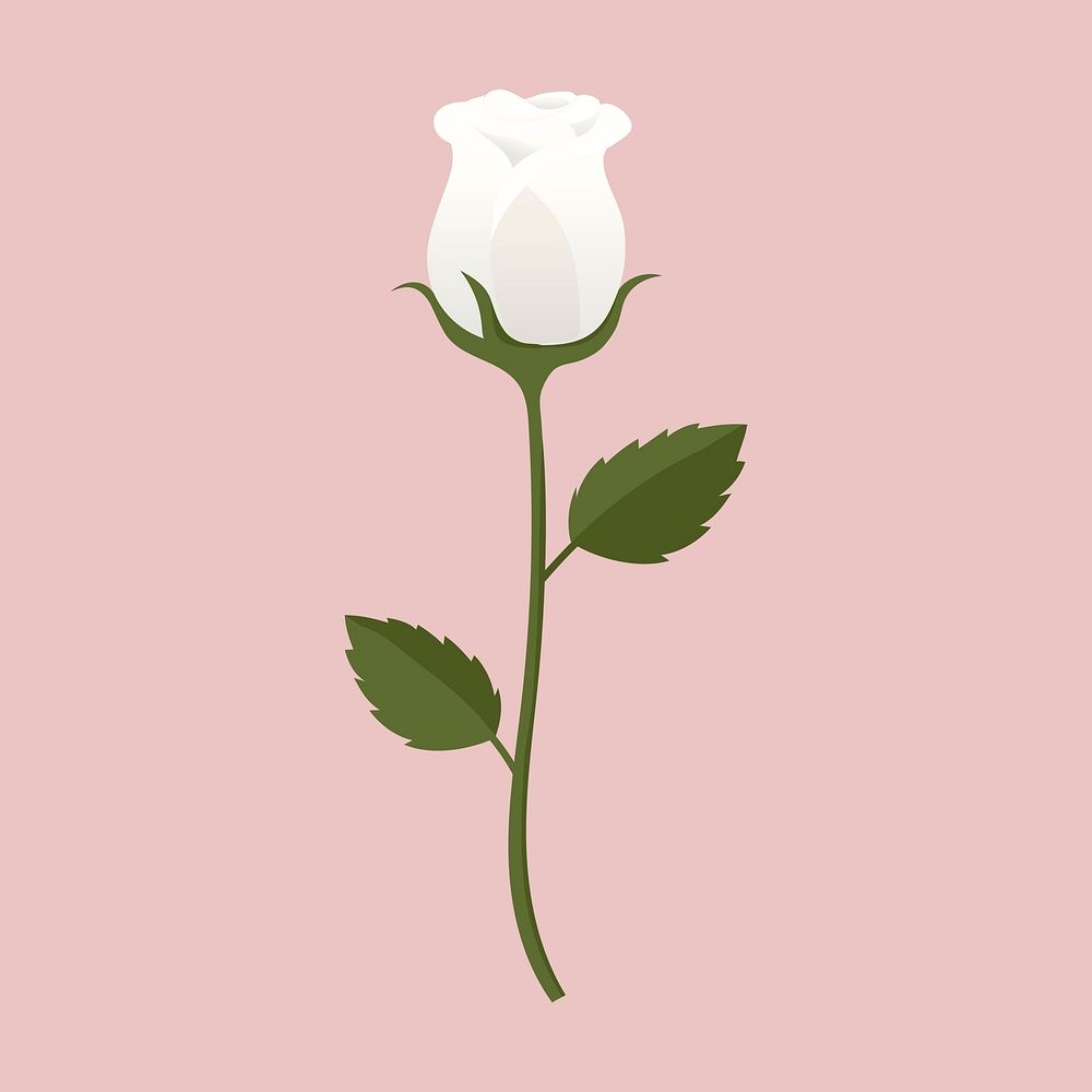 White rose clipart, cute cartoon illustration psd