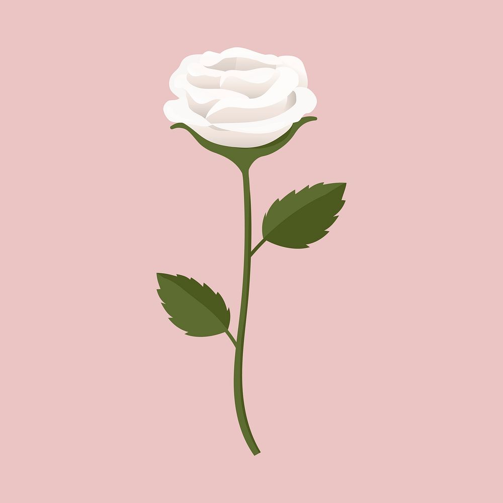 White rose clipart, cute cartoon illustration psd