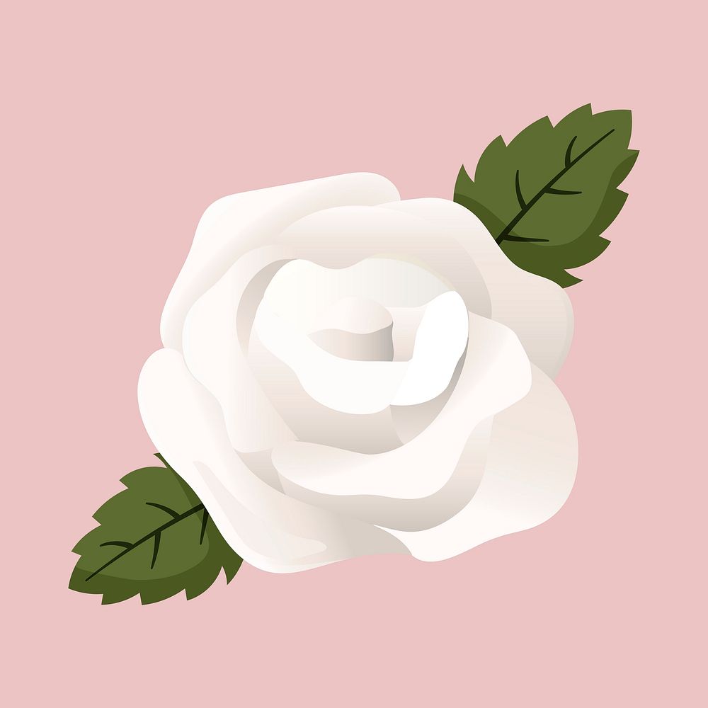 White rose collage element, cute cartoon illustration vector