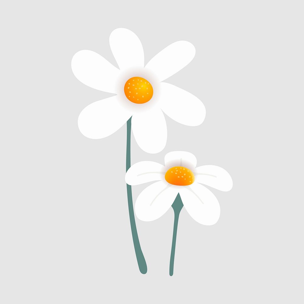 White flower collage element, cute cartoon illustration vector