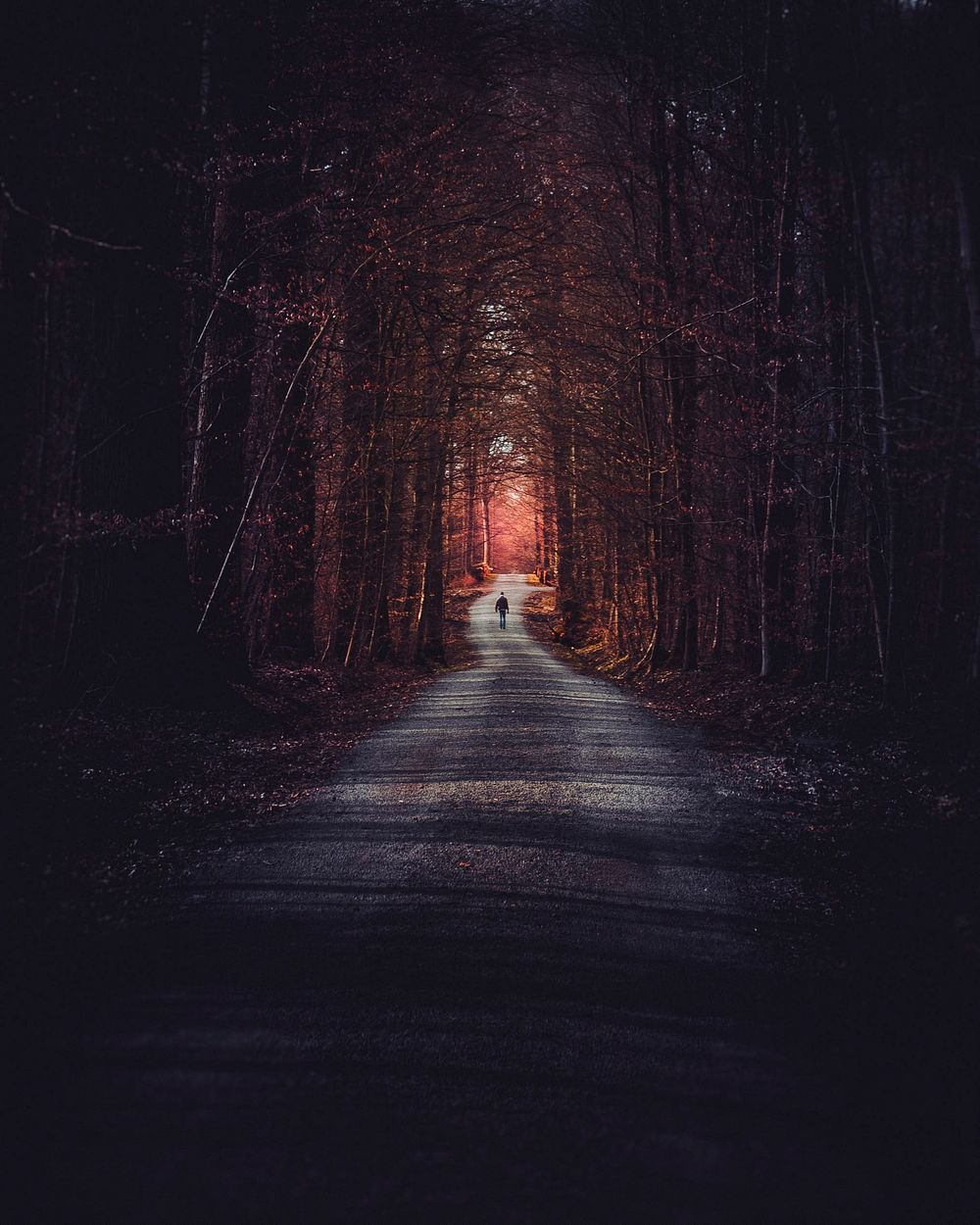 Man walking through the forest of Vaihingen an der Enz, Germany