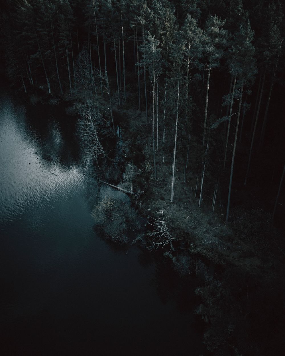 Aerial view of a dark forest in Nuremberg, Germany