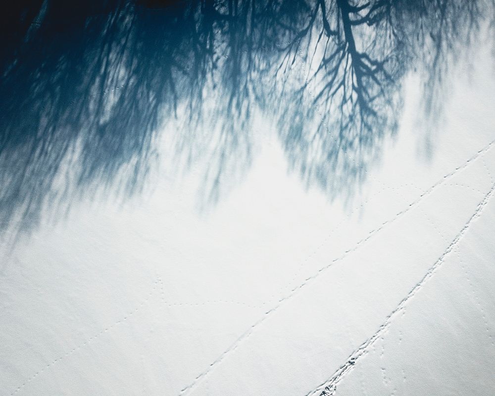 Trees shadow reflection on the snow-covered ground in Moscow, Russia