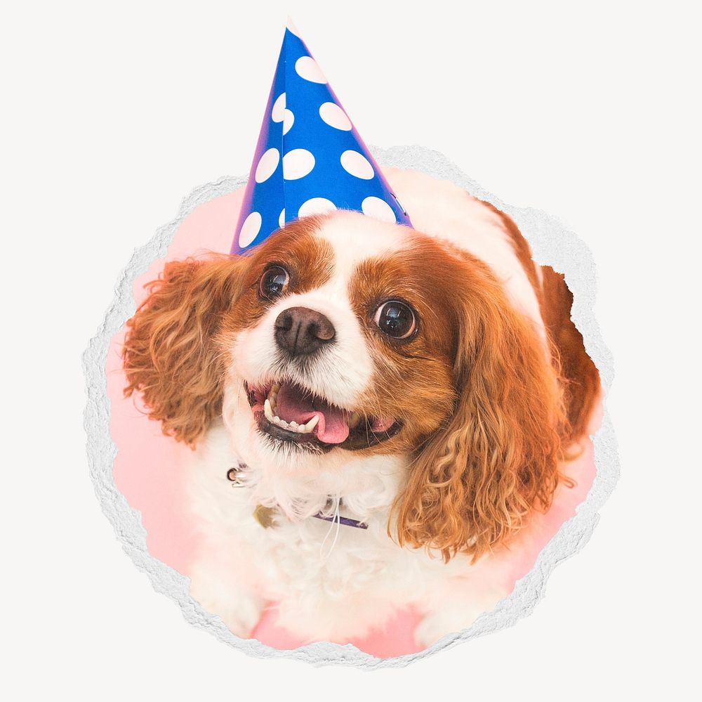Dog birthday in ripped paper badge, cute pet & animal photo