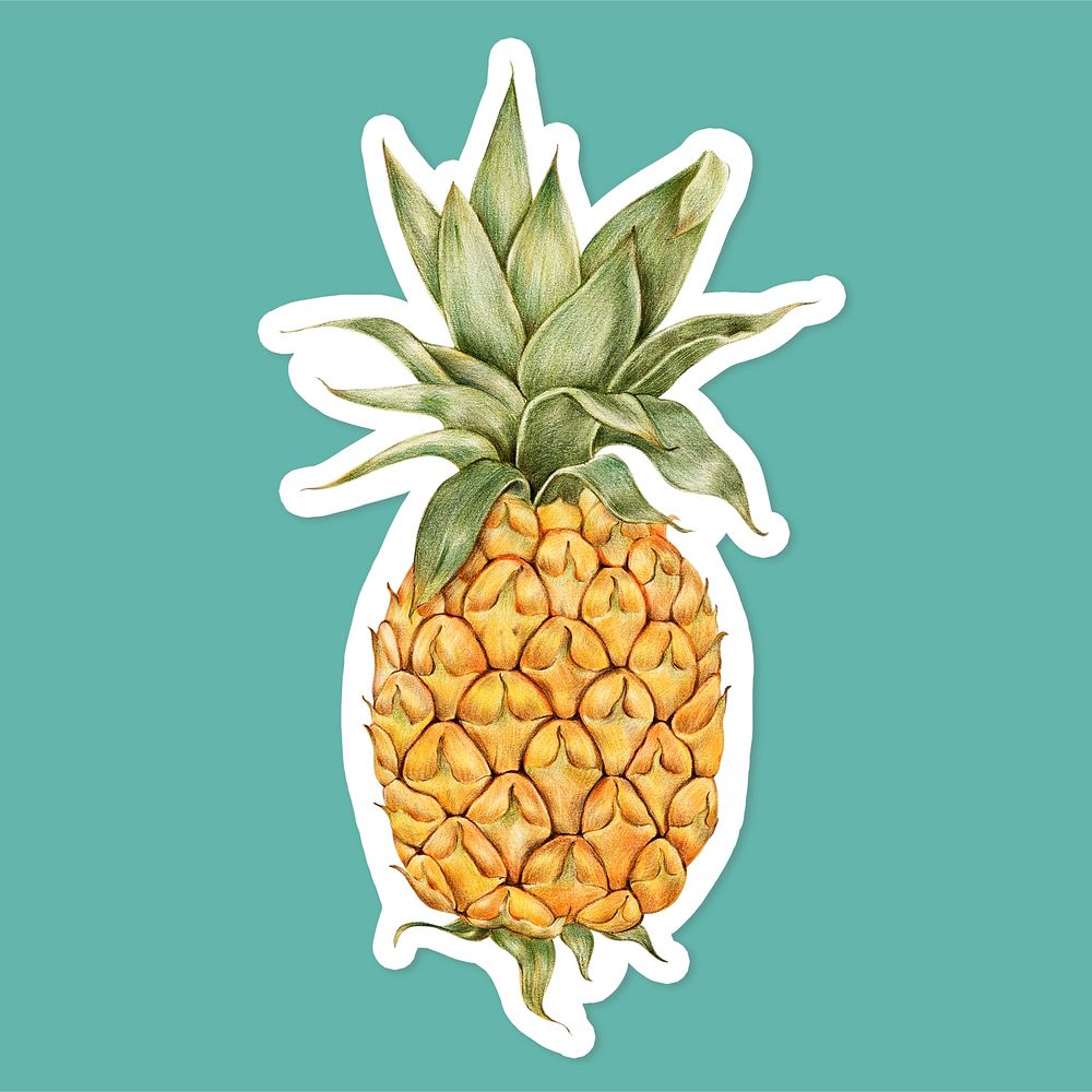 Vintage yellow pineapple sticker psd botanical illustration
