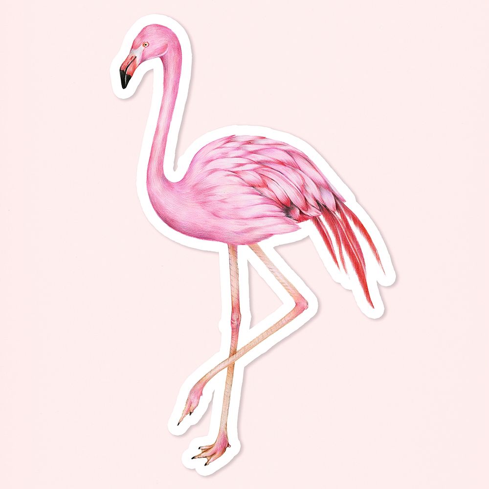 Vintage pink flamingo bird psd illustration sticker