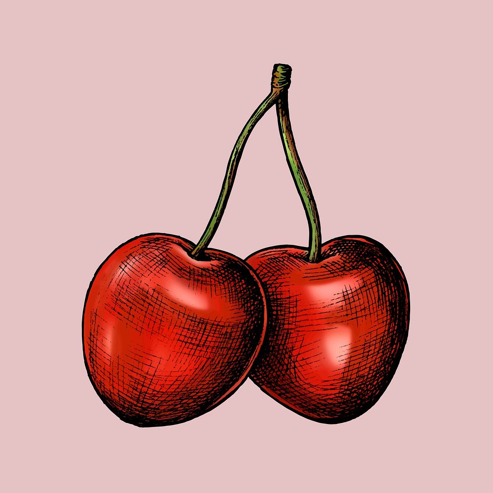Red fresh cherries on pink background vector