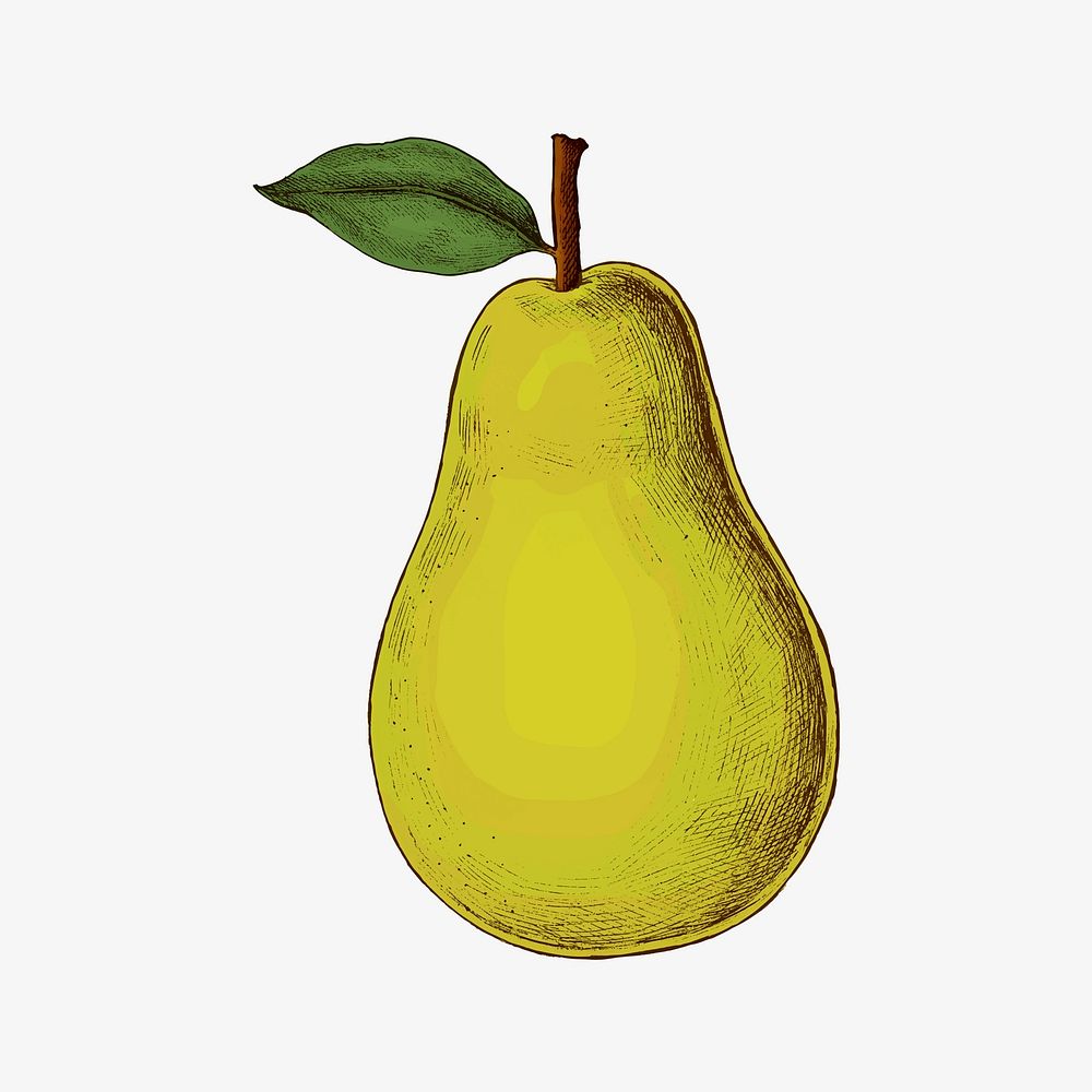 Ripe fresh green pear vector