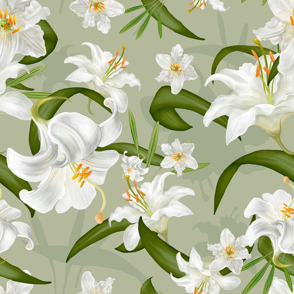 Illustration drawing of Lily flowers