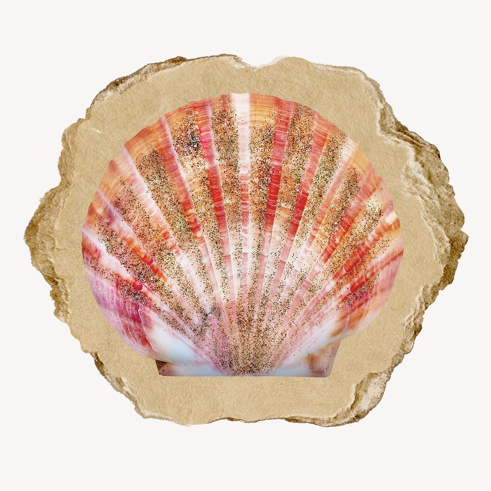 Scallop shell, ripped paper collage element