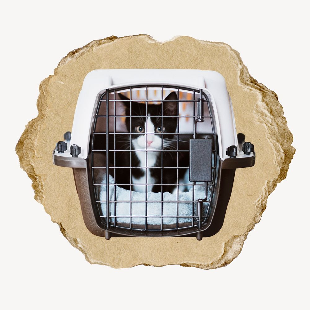 Caged kitten, ripped paper collage element
