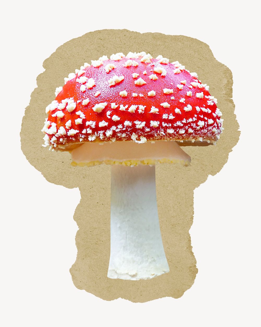 Poisonous mushroom, ripped paper collage element