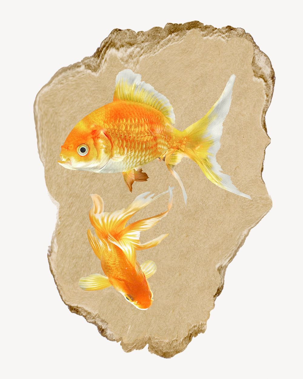 Goldfish, ripped paper collage element