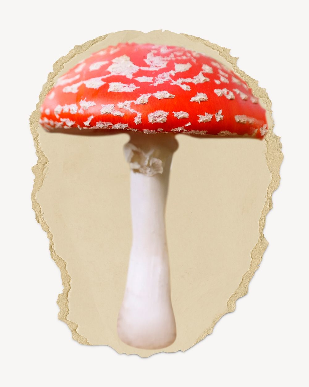 Poisonous mushroom, ripped paper collage element