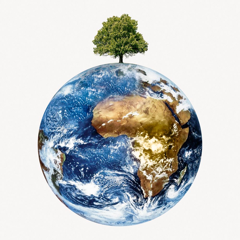 Globe surface, environment isolated image