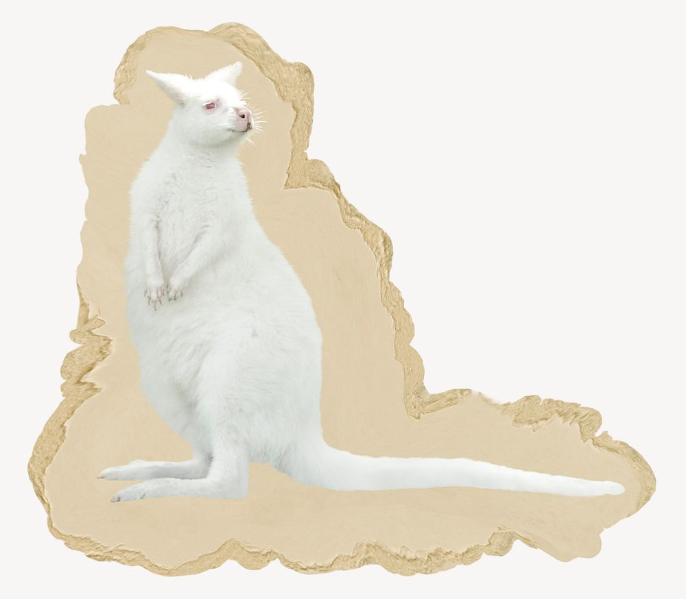 White kangaroo, ripped paper collage element