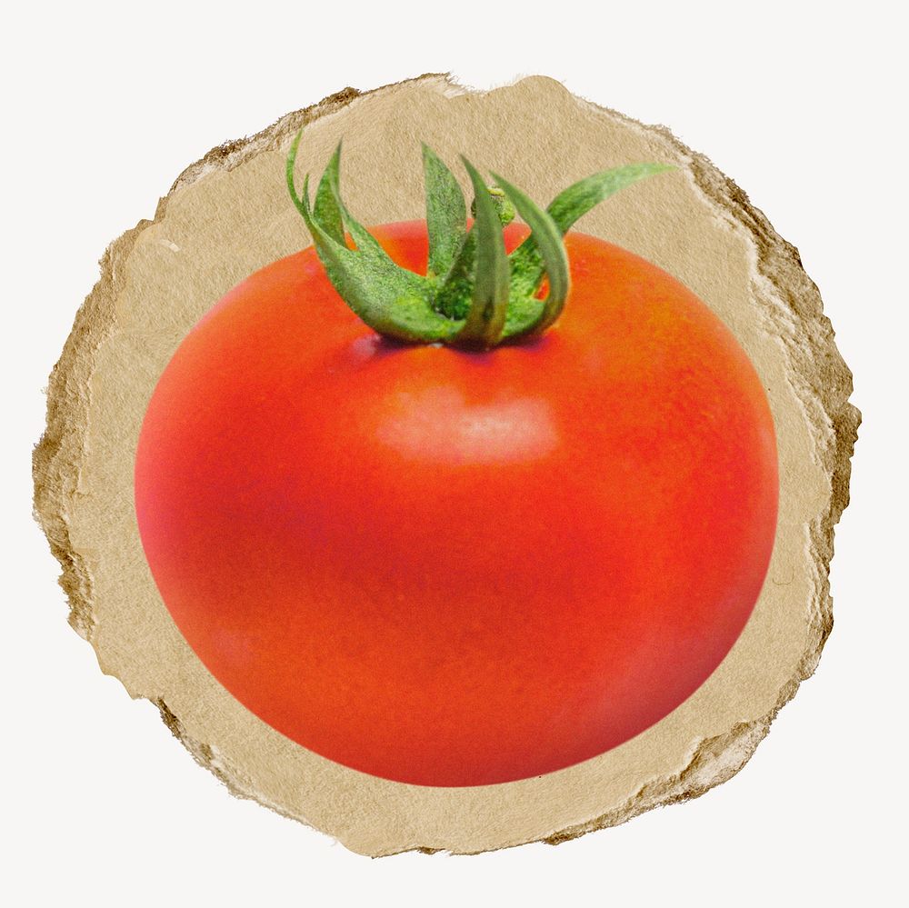 Tomato, vegetable, ripped paper collage element