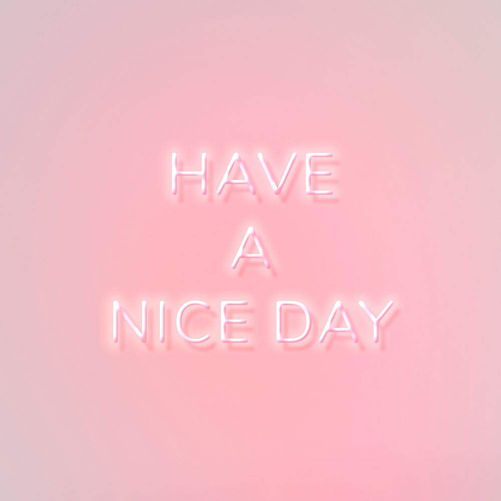 HAVE A NICE DAY neon phrase typography on a pink background