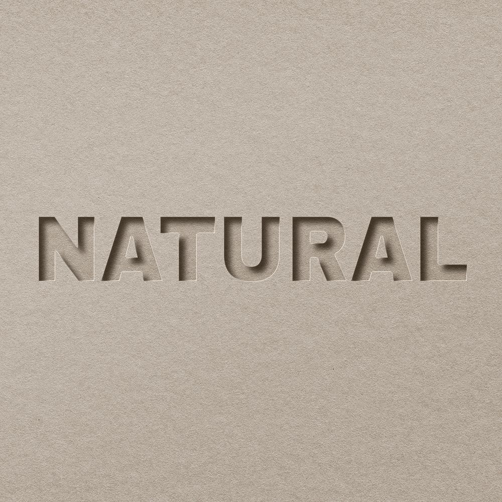 Paper cut natural word font typography