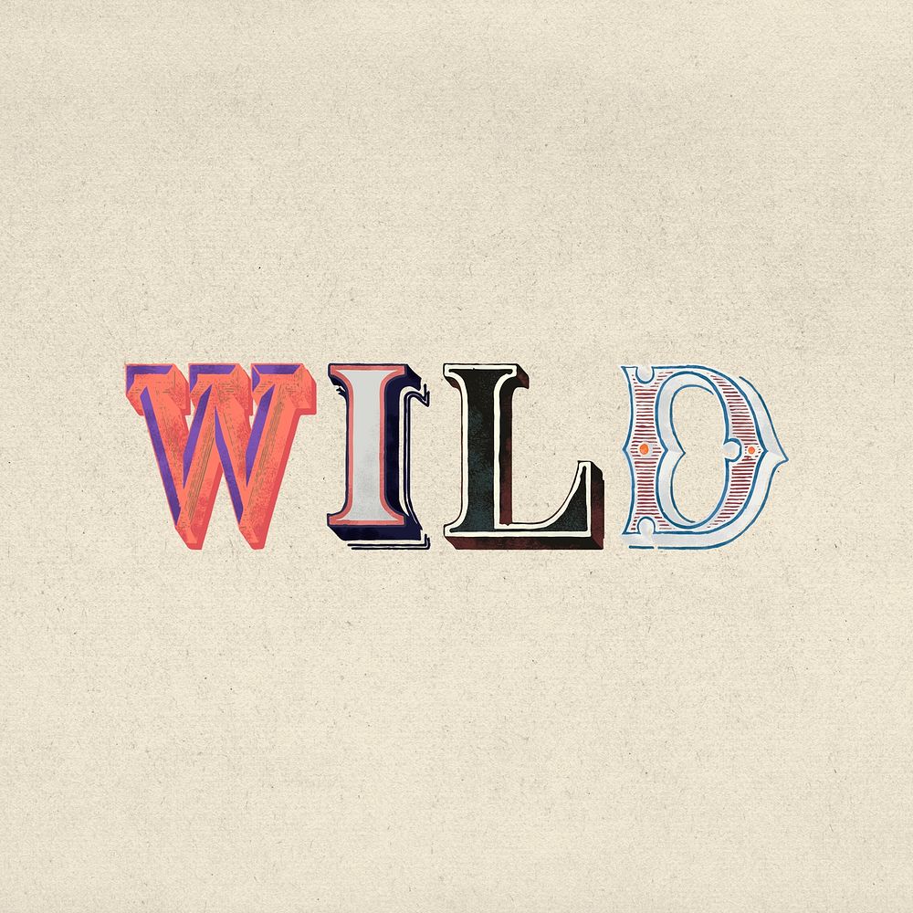 Wild text retro 3d graphic