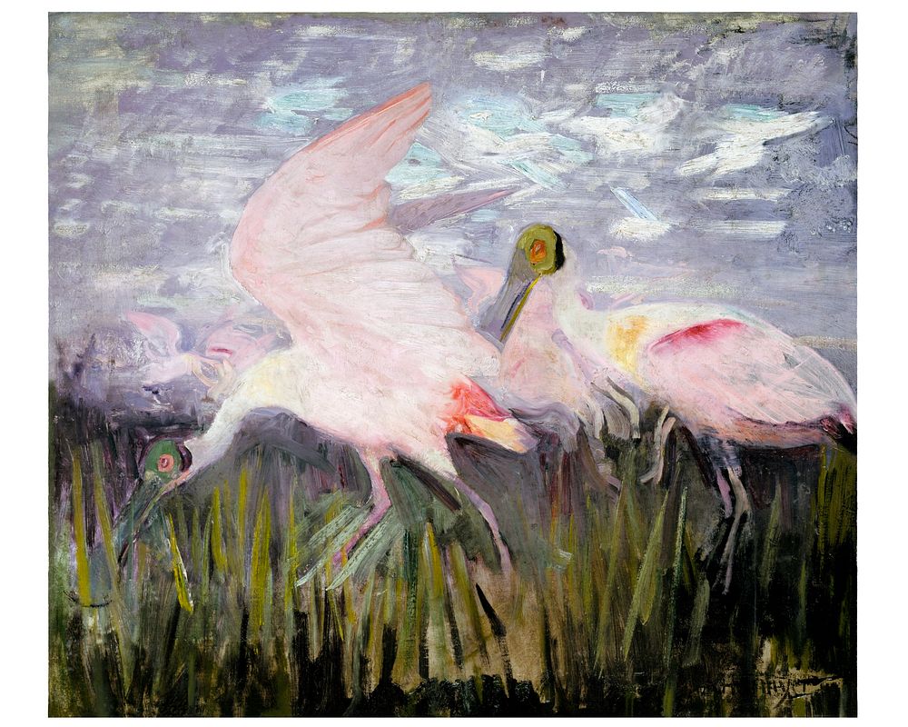 Abbott Handerson Thayer poster. Roseate Spoonbills wall art (1905&ndash;1909) painting in high resolution. Original from the…