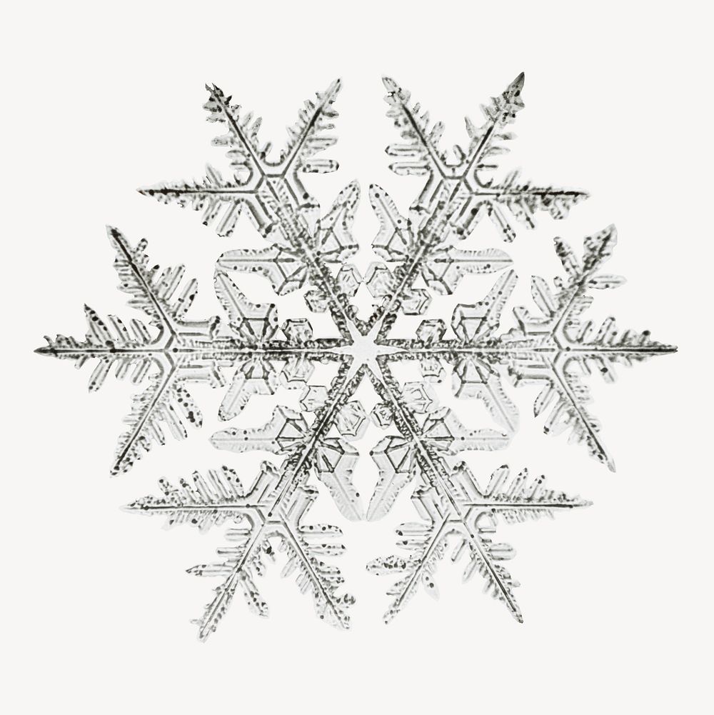 Aesthetic snowflake sticker, Christmas isolated image psd