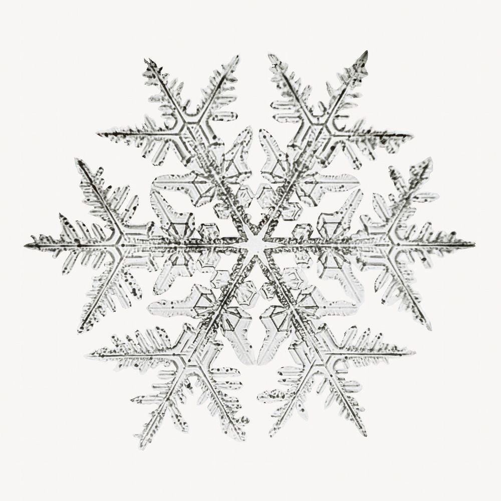 Aesthetic snowflake, Christmas isolated image