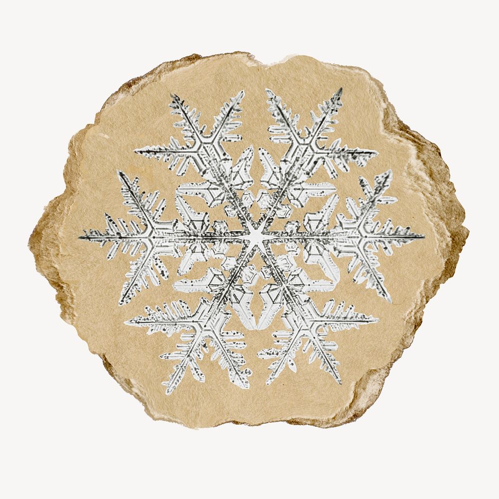 Aesthetic snowflake, ripped paper collage element