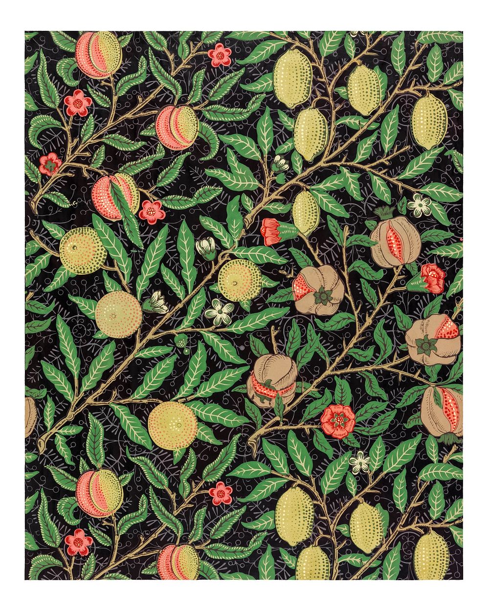 William Morris poster, vintage Fruit pattern wall decor (1862). Original from The Smithsonian Institution. Digitally…