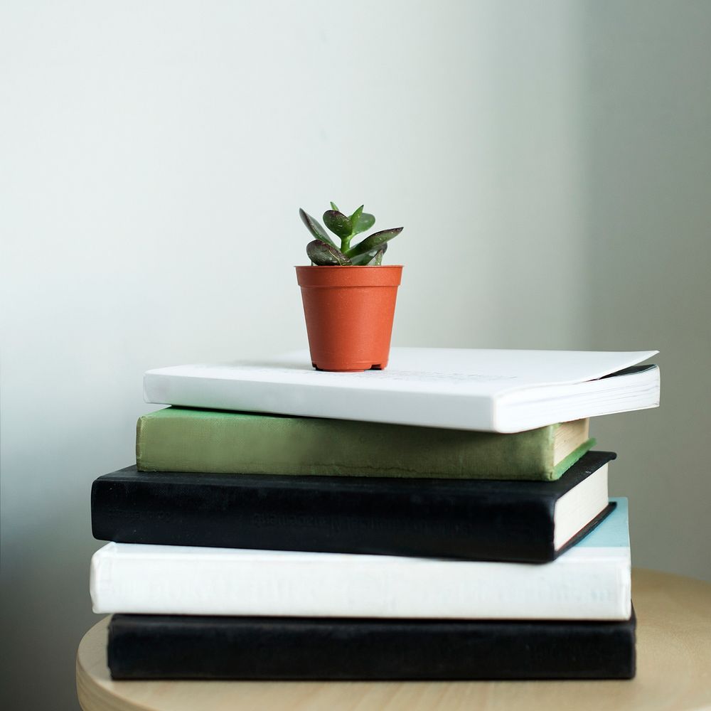 Stacked books with plant