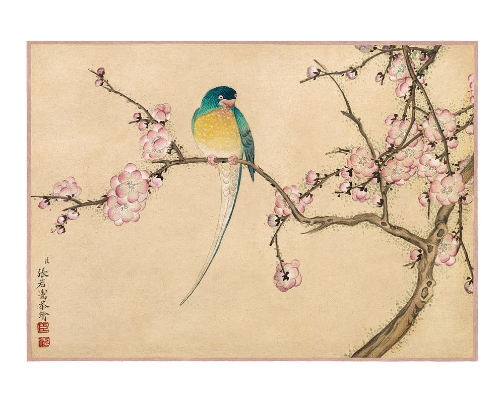 Bird on tree art print, vintage Bird with Plum Blossoms, remixed from the artwork of Zhang Ruoai