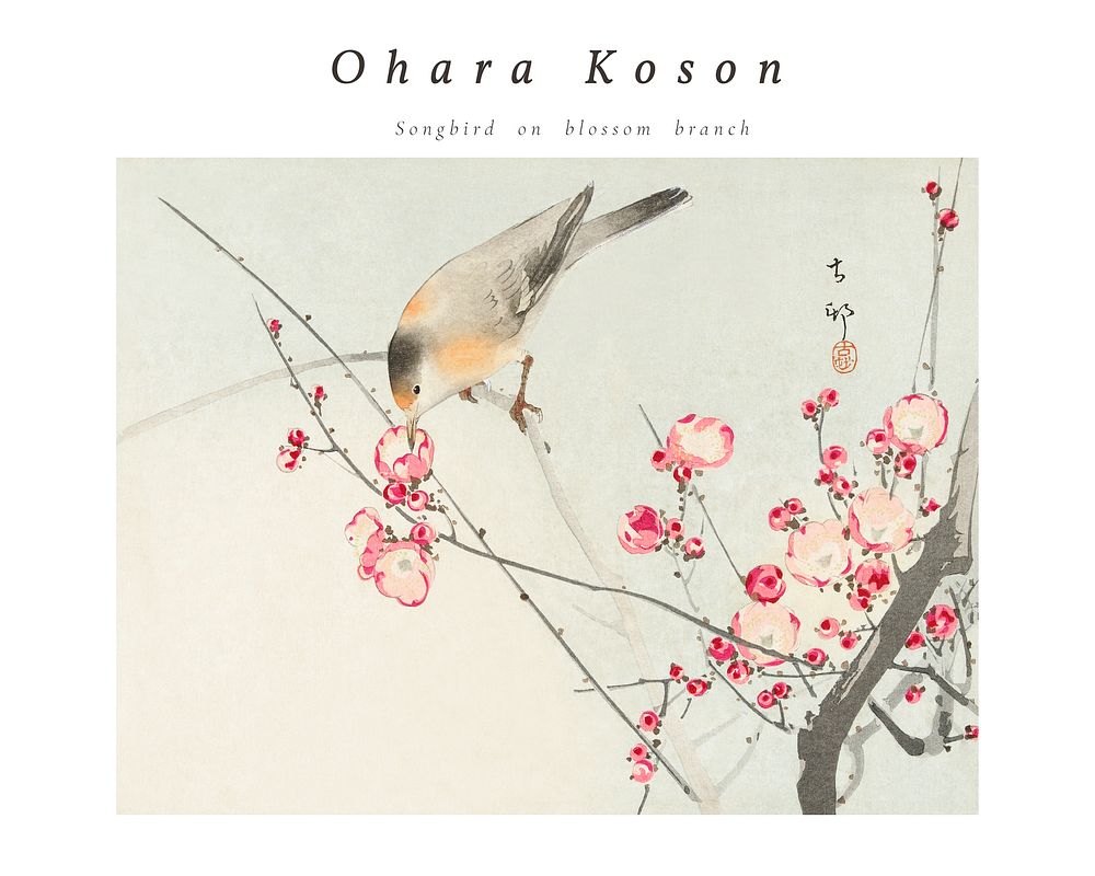 Ohara Koson bird woodblock print, vintage Songbird on blossom branch wall art decor