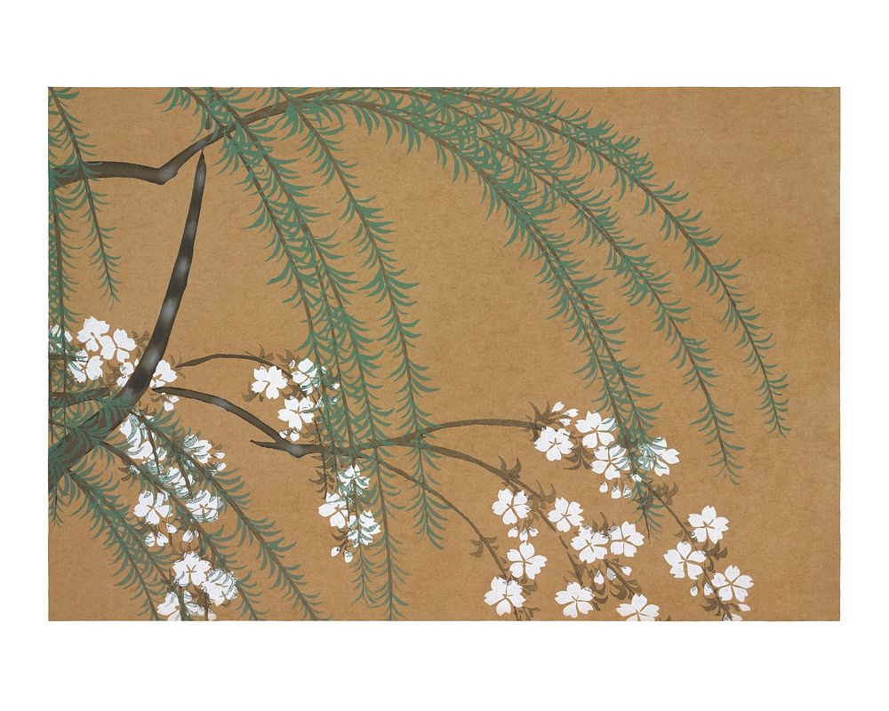 Kamisaka Sekka flower woodblock print, vintage Blossoms from Momoyogusa&ndash;Flowers of a Hundred Generations Japanese wall…