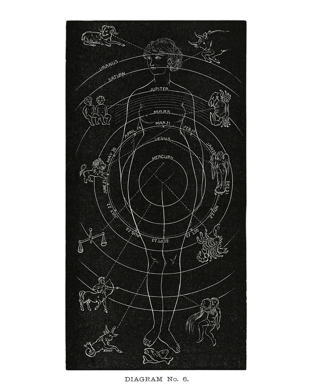 Solar system poster, vintage Diagram no.6 print from Solar Biolog, enhanced from the artwork of Hiram Erastus Butler