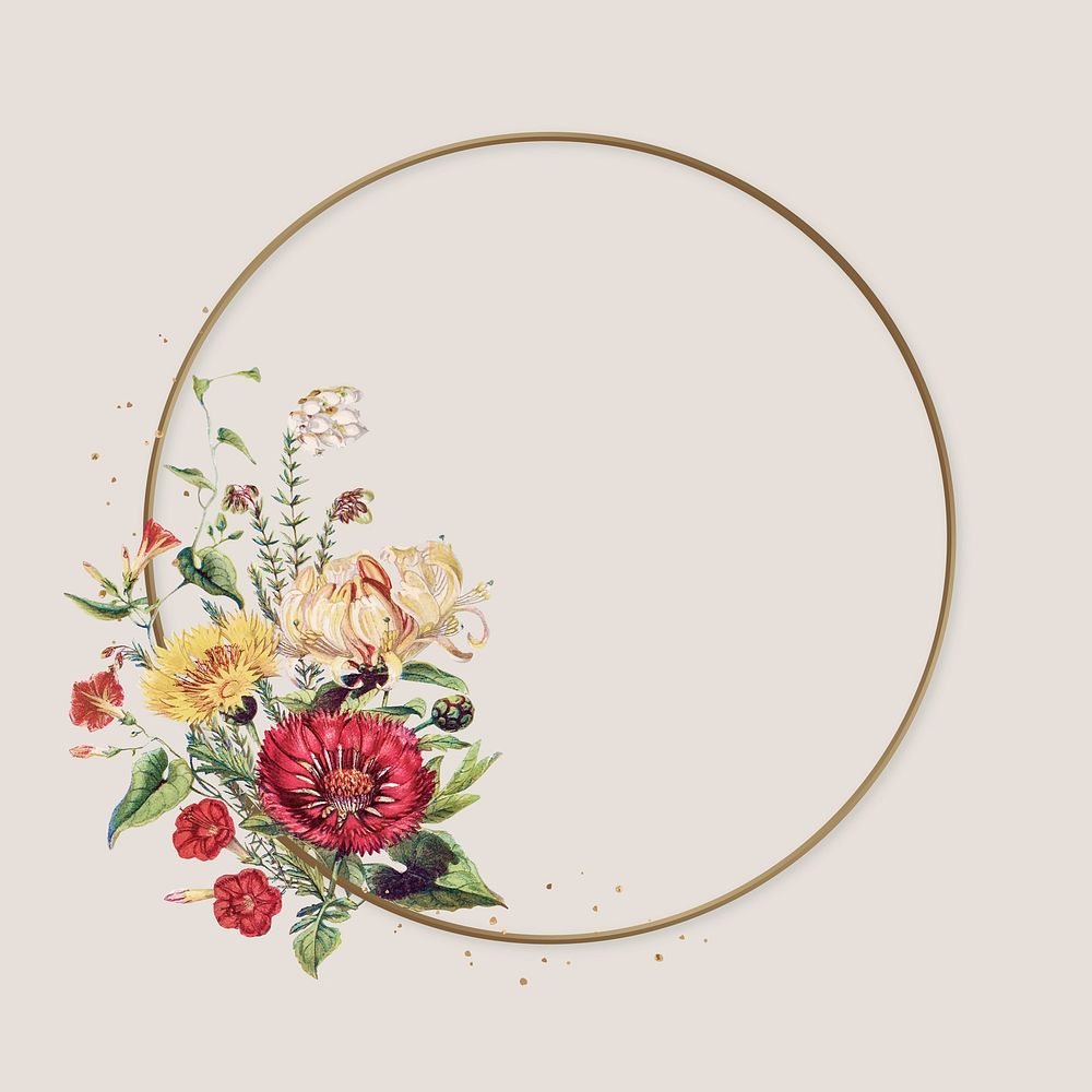 Elegant flower circle frame vector colorful sweet sultan classic botanical illustration