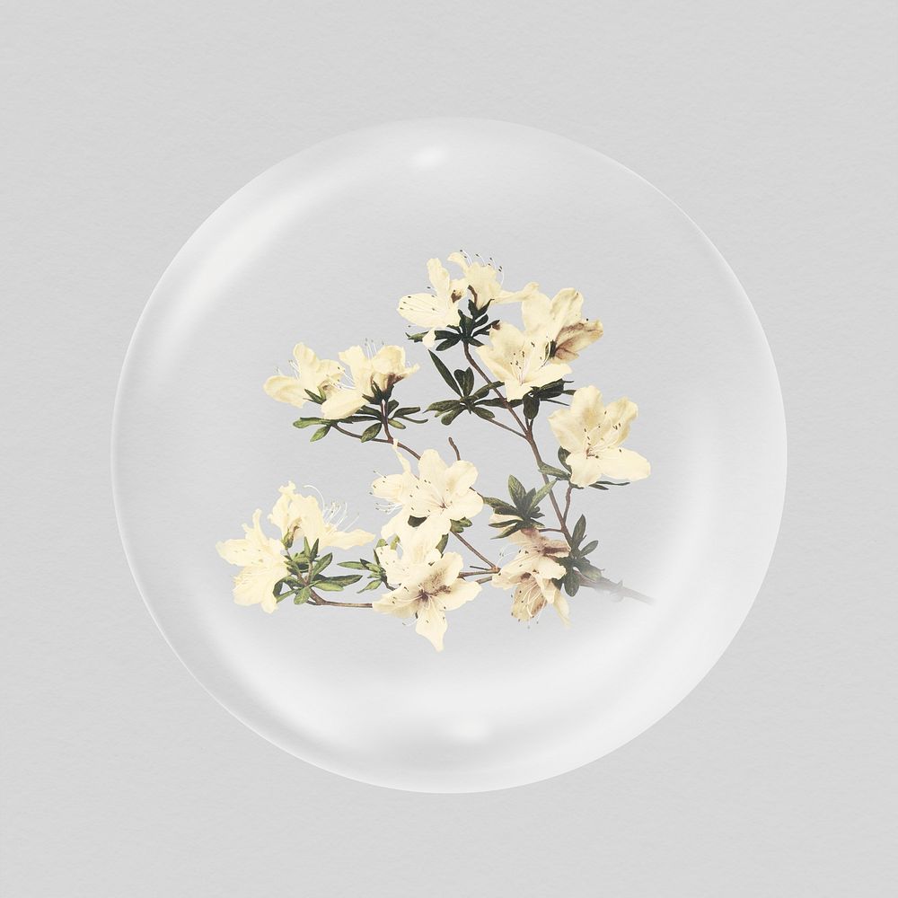 Azalea flowers in bubble, Spring concept art
