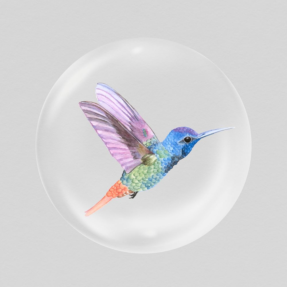 Colorful hummingbird in bubble, bird animal concept art