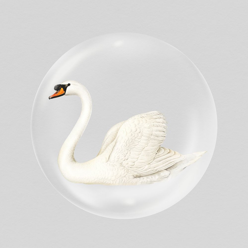 Beautiful swan sticker, animal in bubble psd
