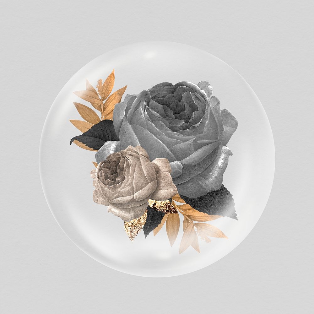 Black rose flowers sticker, Winter bubble concept art psd
