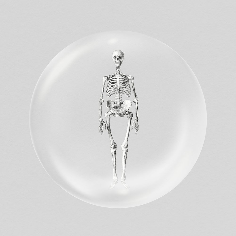 Human skeleton sticker, vintage anatomy in bubble psd