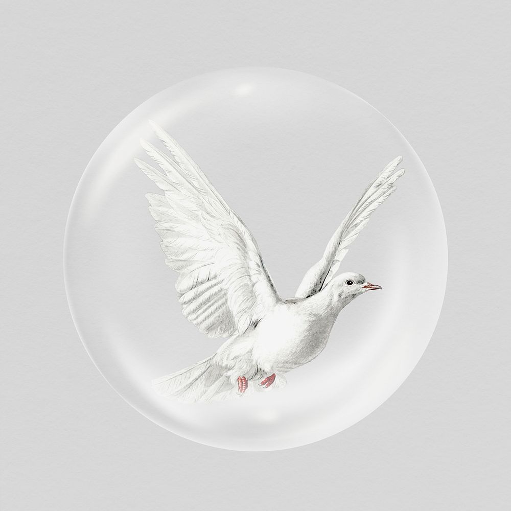 White dove sticker, animal in bubble psd