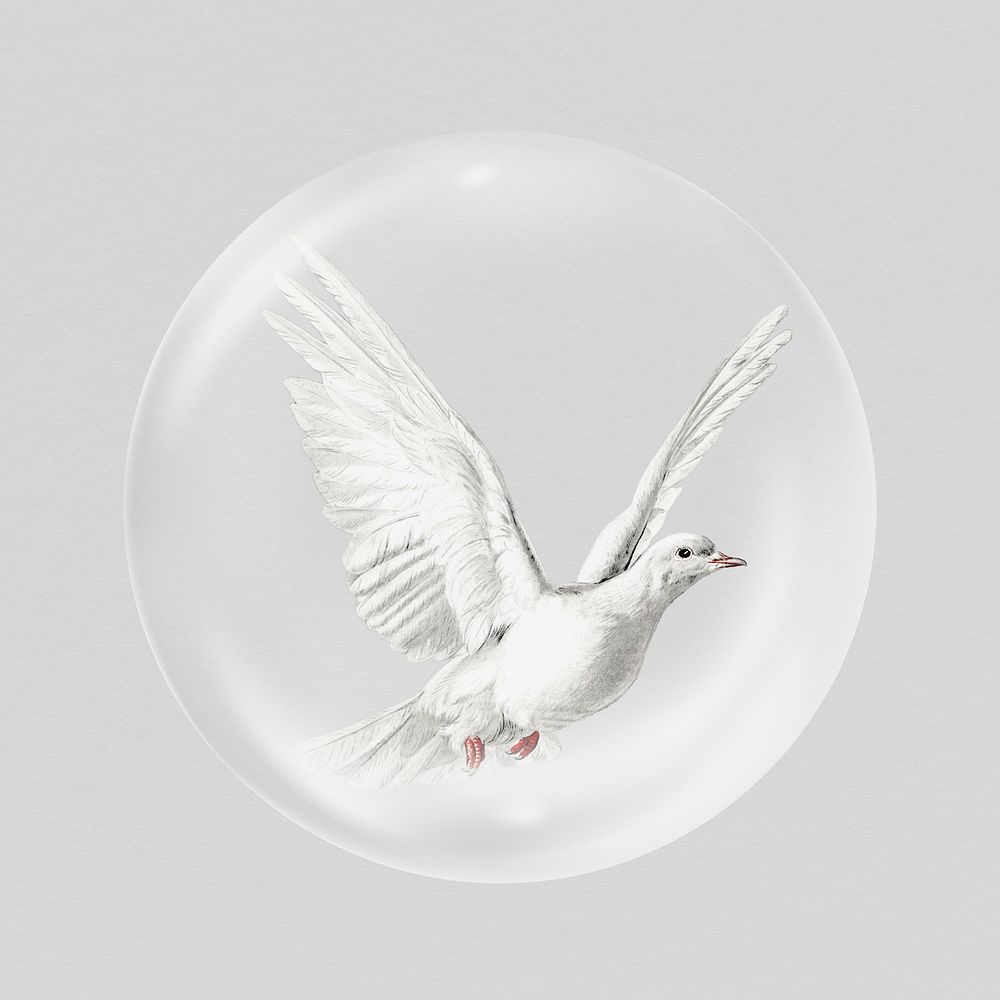 White dove in bubble, bird animal concept art